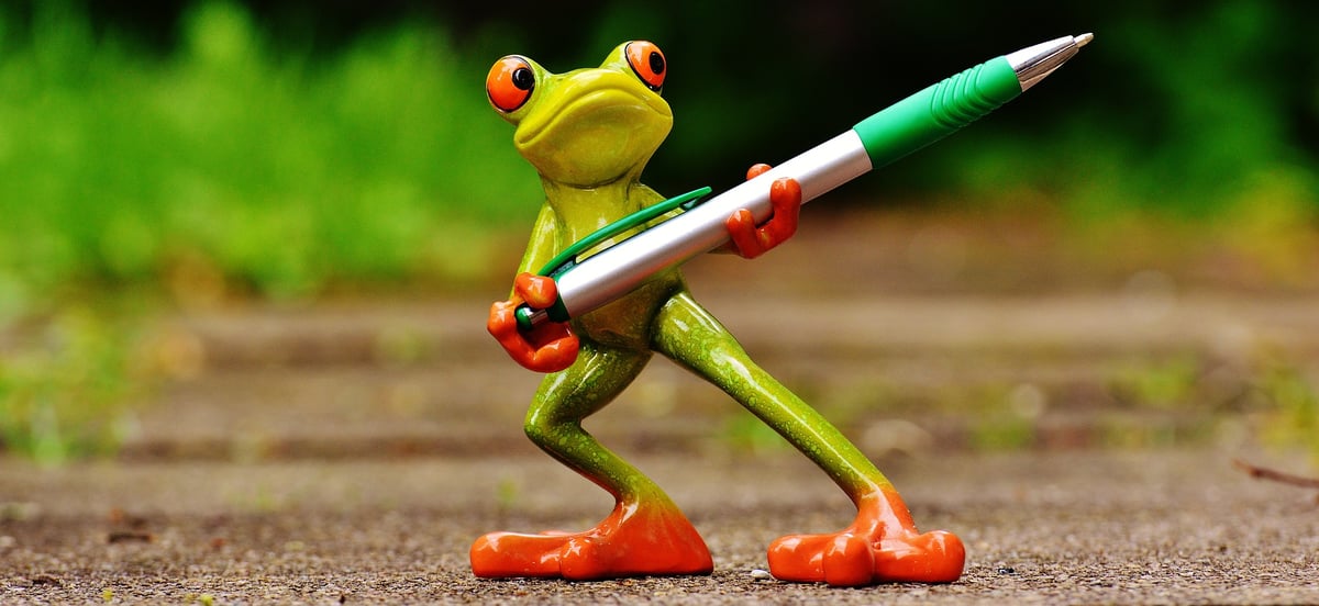 Frog holding a pen as a creative representation of transcreation