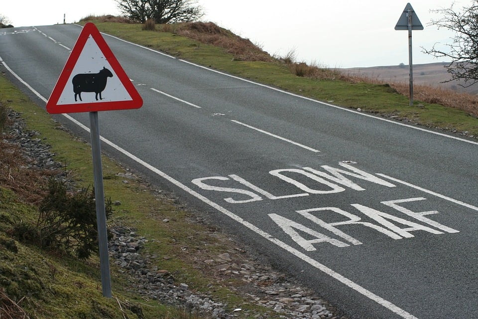 Bilingual Britain. Image of road marks in English and Welsh, reading "Slow" and "Araf"