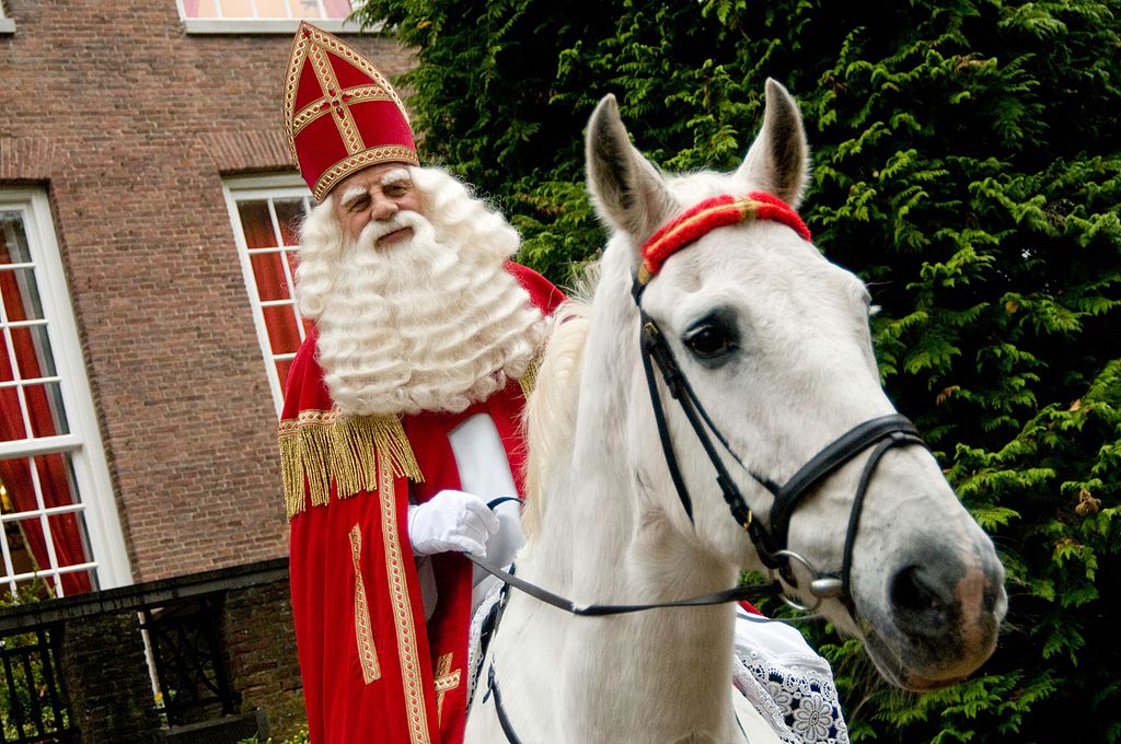 Old man dressed as Sinterklaas on white horse