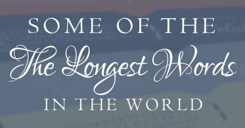 INFOGRAPHIC: Some of the longest words in the world | Wolfestone