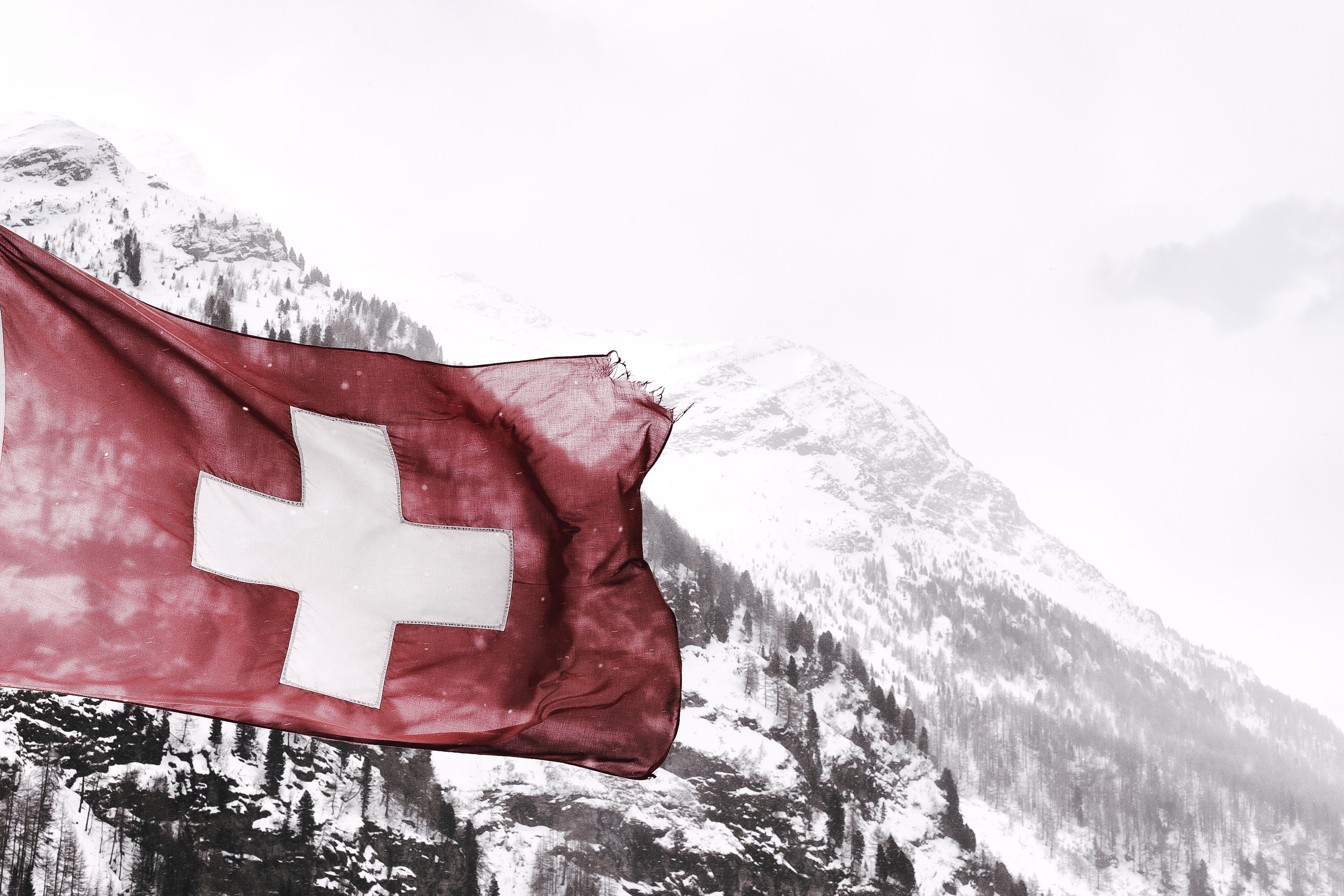Swiss language diversity the key to success | Wolfestone